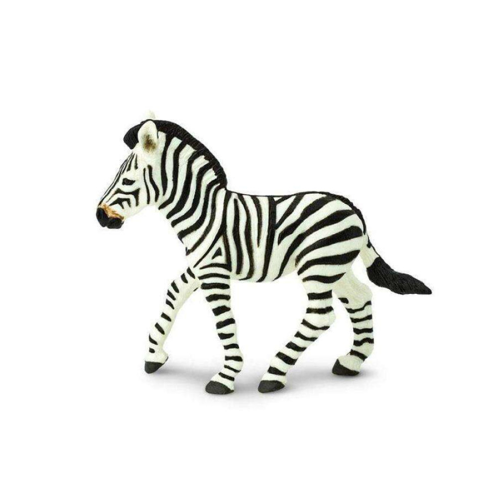 Safari  Zebra Foal Ζέβρα Πουλάρι