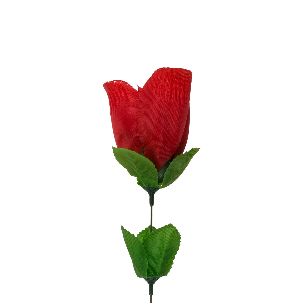 Τριαντάφυλλο Με Sexy String Εσώρουχο One Size - Κόκκινο