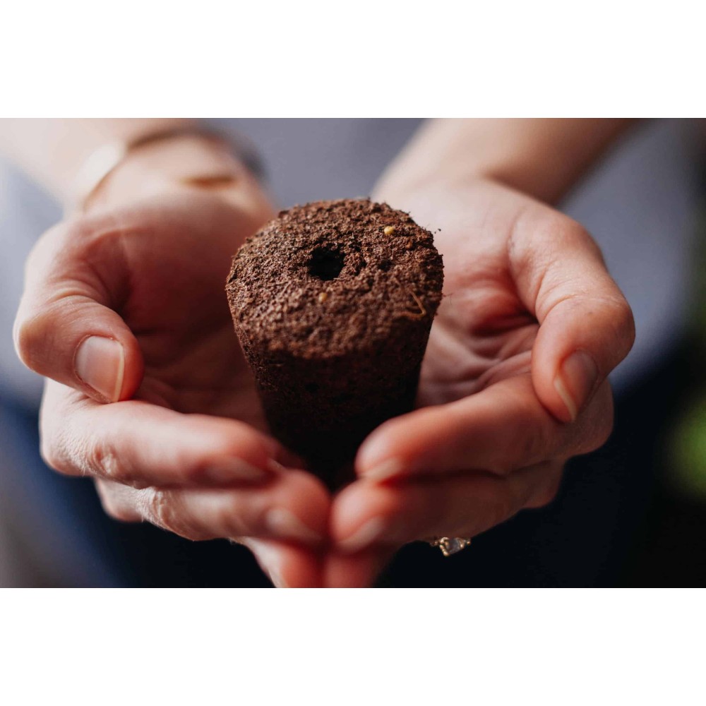 Click & Grow Συσκευασία Σπόρων με Χώμα για Ραπανάκι (3τμχ)