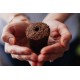 Click & Grow Συσκευασία Σπόρων με Χώμα για Βασιλικό (3τμχ)