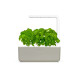 Click & Grow Smart Garden 3 (Μπεζ)