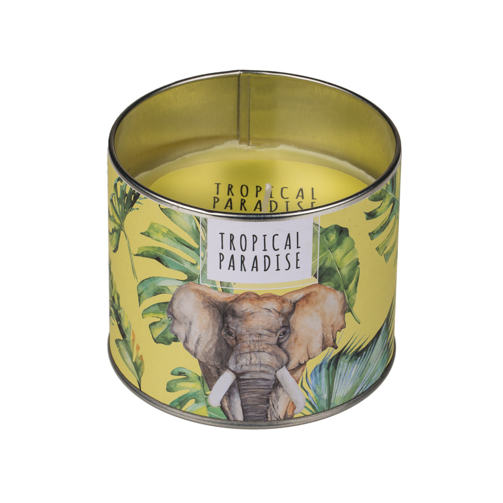 Διακοσμητικό κερί Tropical Paradise σε Μεταλλικό βαζάκι (Ελέφαντας)