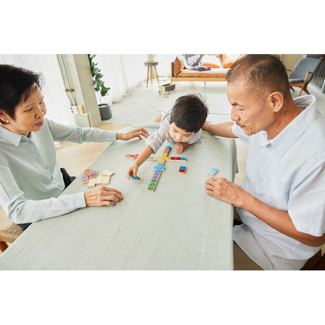 Ντόμινο με συναισθήματα PlanToys 8905
