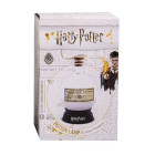 Fizz Creations Harry Potter Potion Lamp Φωτιστικό LED που αλλάζει χρώματα  (9 × 9 × 14 cm)