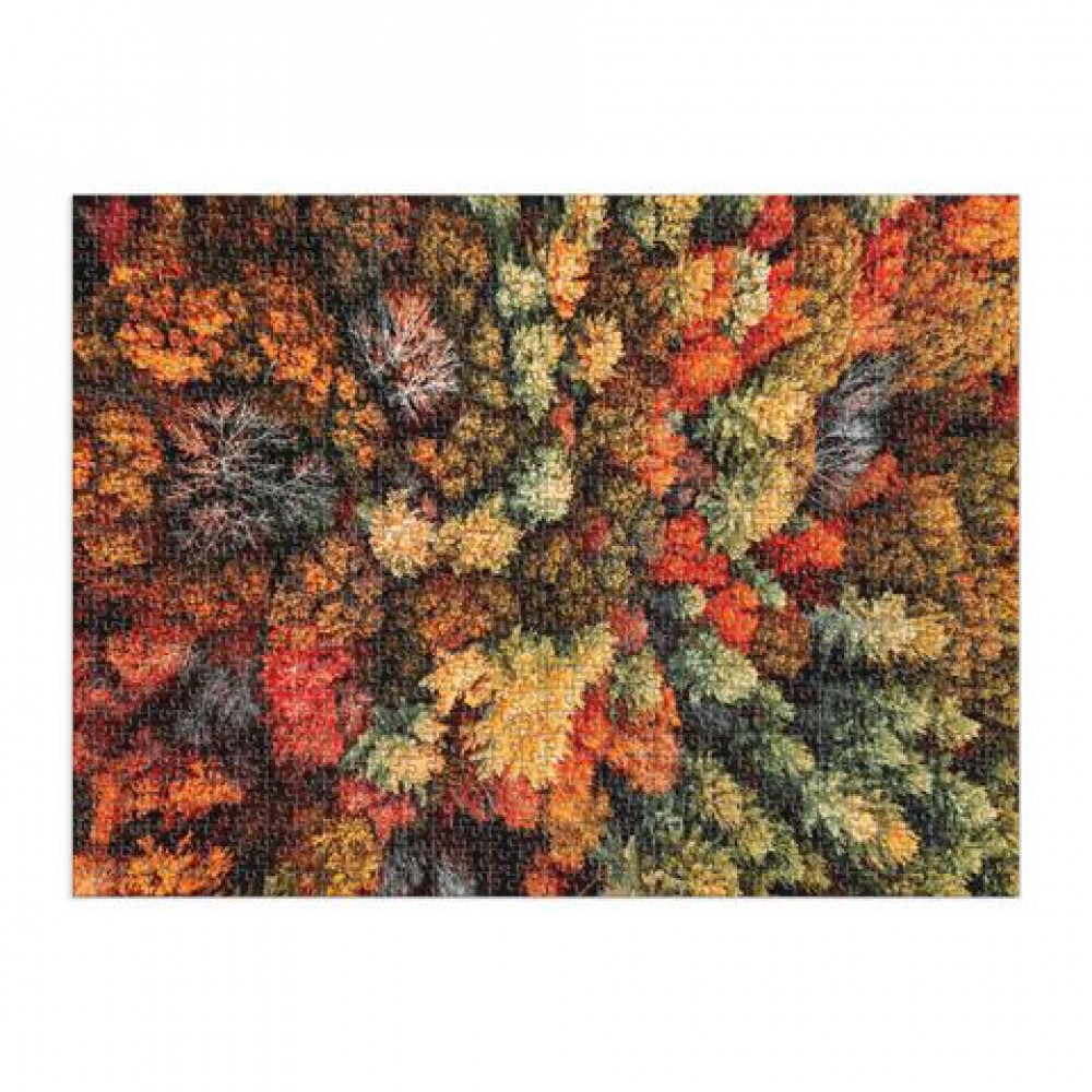 Good Puzzle Company Παζλ 1000 κομματιών "Autumn Forest"