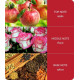 Heart & Home Bamboo Collection Αρωματικό Χώρου με Sticks Πικάντικο Μήλο και Κανέλα (70ml)