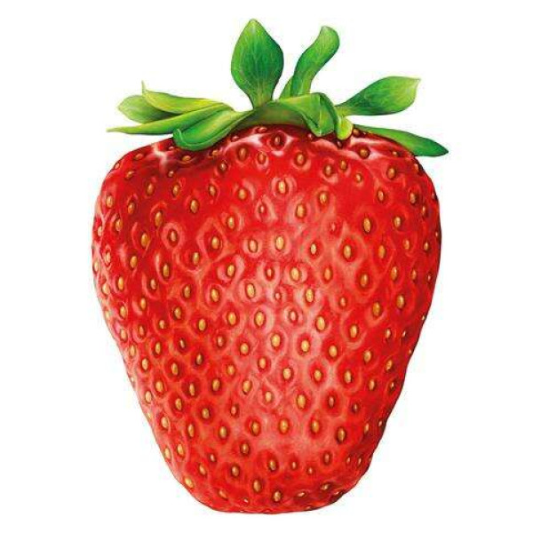 Hummingbird Παζλ 1000 κομματιών "I Like Strawberry"