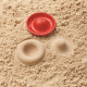 Καλούπια για την άμμο PlanToys 5804