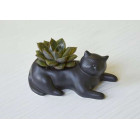 Kikkerland Κεραμικό Κασπώ Cosmo the Black Cat Planter 