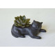 Kikkerland Κεραμικό Κασπώ Cosmo the Black Cat Planter 