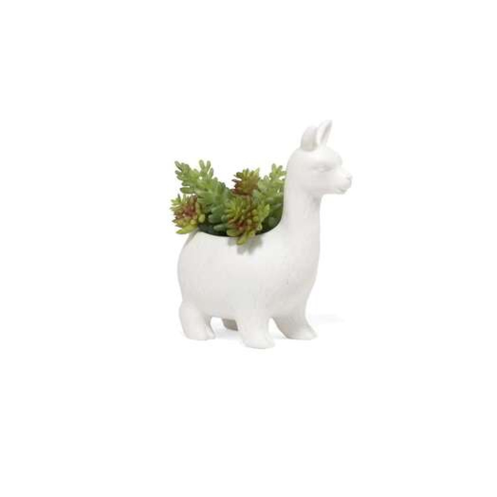 Kikkerland Κεραμικό Κασπώ Lloyd the Llama Planter 