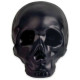 Kikkerland Κεραμικός Κουμπαράς Νεκροκεφαλή Skull Coin Bank (Μαύρο)