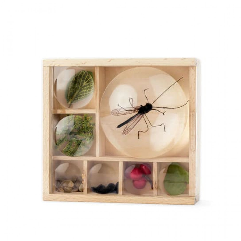 Kikkerland Huckleberry Κουτί για Ζωύφια Bug Box