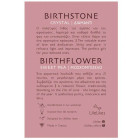 LifeLikes Κολιέ Birthstone April