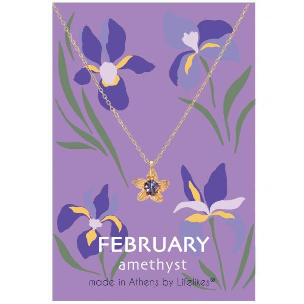 LifeLikes Κολιέ Birthstone February