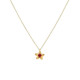 LifeLikes Κολιέ Birthstone January