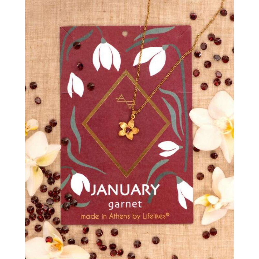 LifeLikes Κολιέ Birthstone January