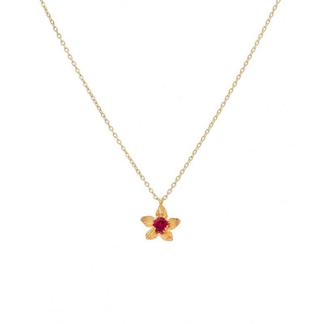 LifeLikes Κολιέ Birthstone July