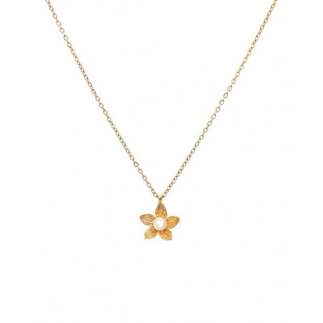 LifeLikes Κολιέ Birthstone June