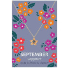 LifeLikes Κολιέ Birthstone September