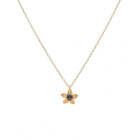 LifeLikes Κολιέ Birthstone September