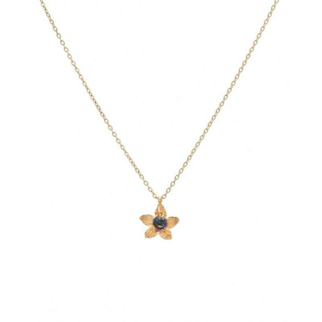 LifeLikes Κολιέ Birthstone September