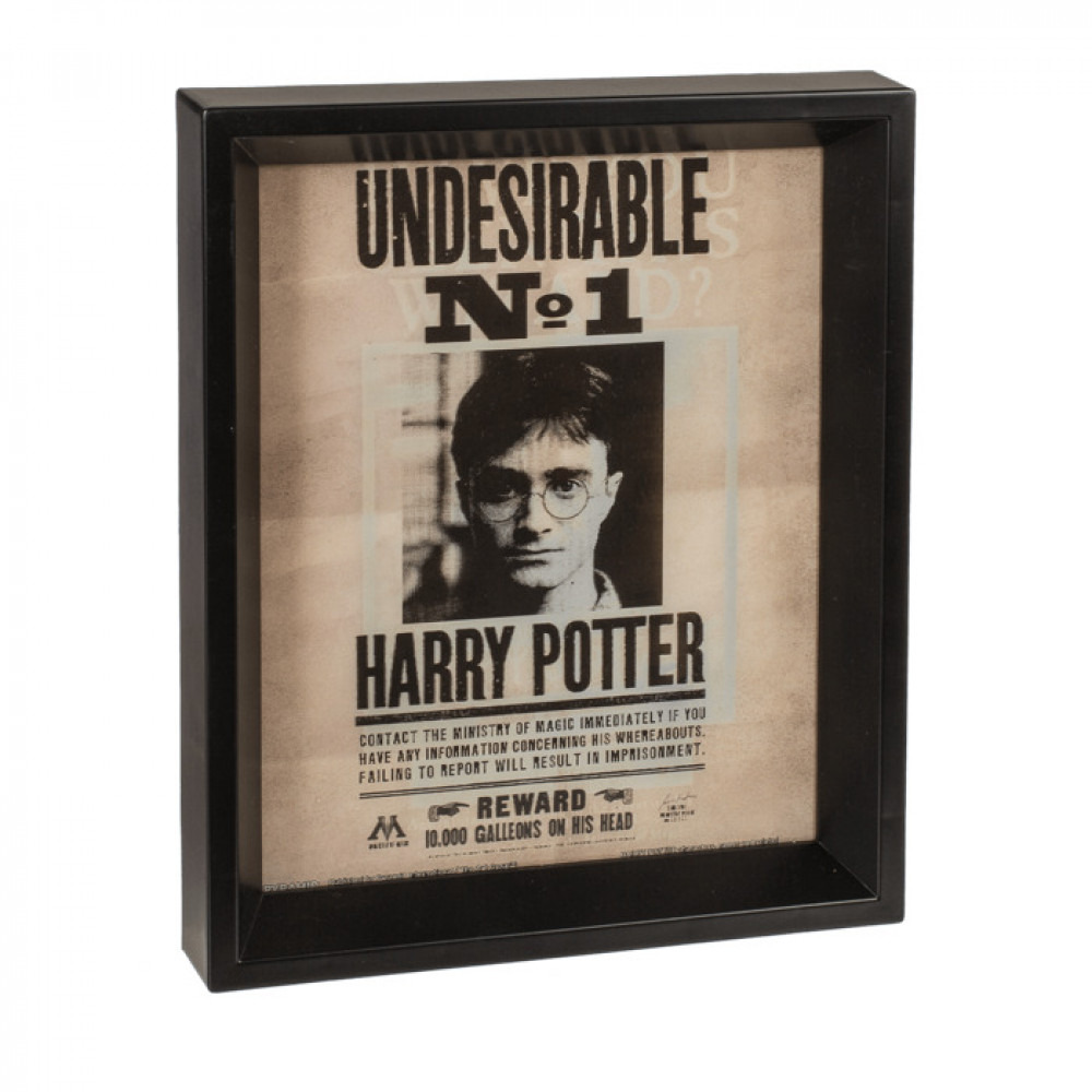 Κορνίζα ξύλινη 3D Harry Potter & Sirius Black (28,5 x 23 cm)
