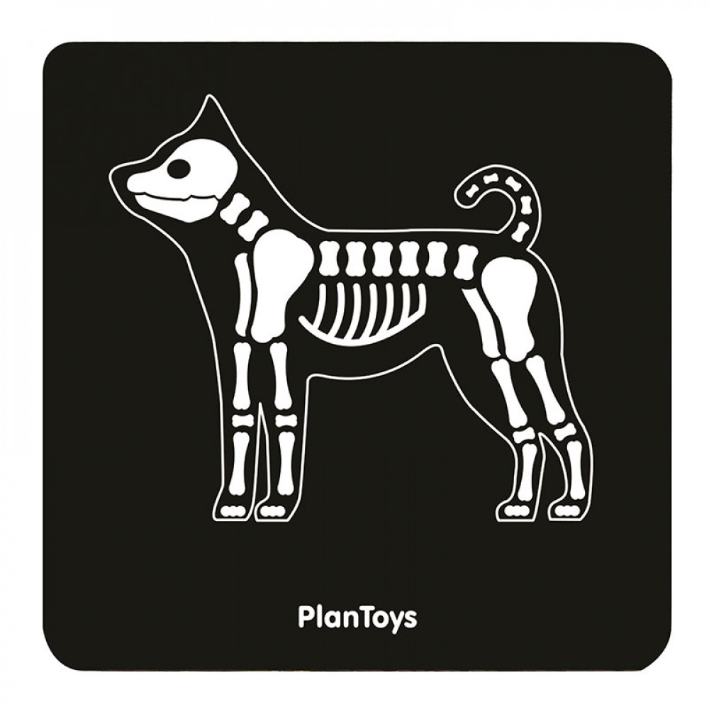 Κτηνιατρικά εργαλεία PlanToys 3490