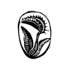 Carnivora