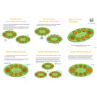Mancala PlanToys 4623