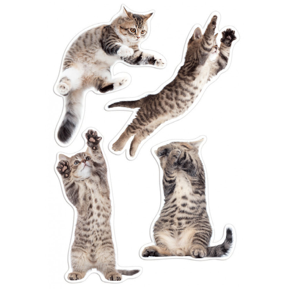 Mustard Μαγνητάκια Ψυγείου Action Cats (4τμχ)