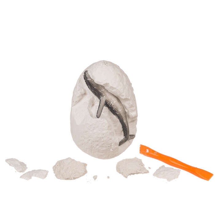 Παιχνίδι Ανασκαφής Με Ζώα της Θάλασσας (7,4 x 5,2 cm)