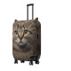 Pikkii Cat Κάλυμμα Μεγάλης Αποσκευής (Large)