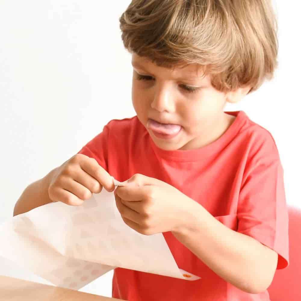 Poppik Μεγάλο Μωσαϊκό με 520 Αυτοκόλλητα – Μικρά Ζωάκια