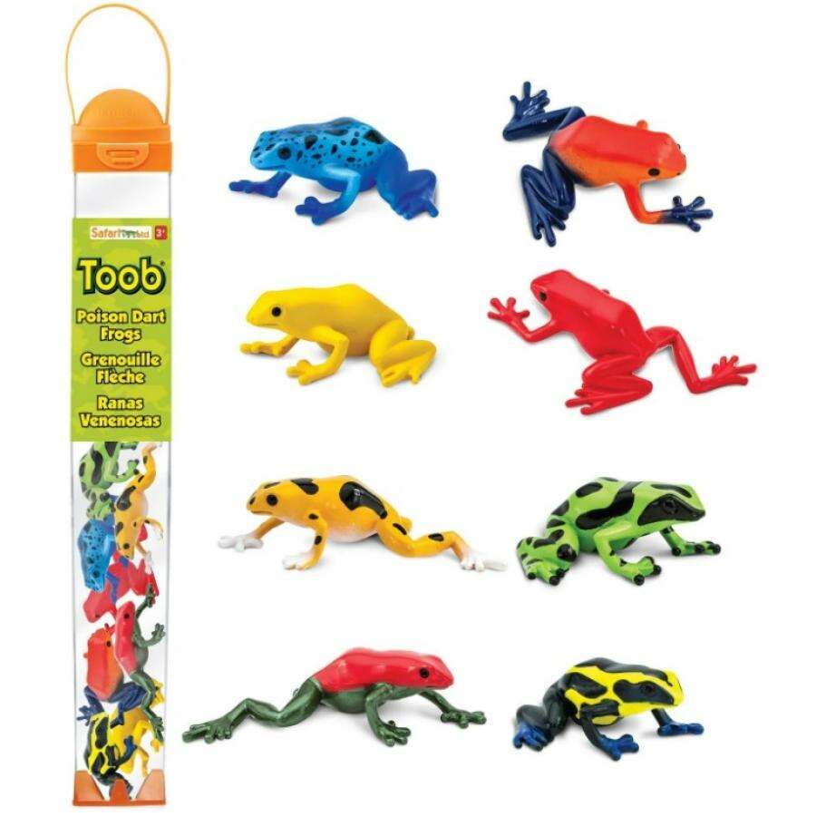  Safari Poison Dart Frogs Δενδροβατίδες