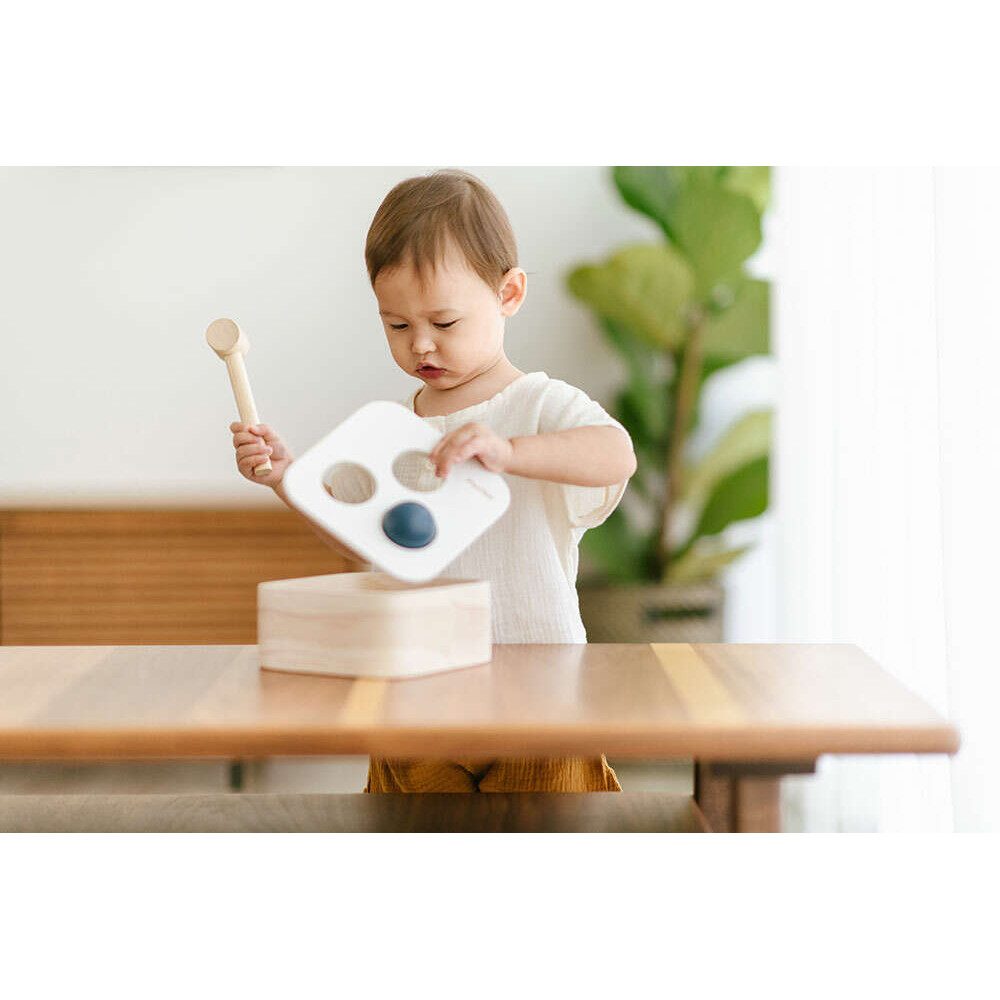 Κουτί με Μπάλες και Σφυρί PlanToys 5490