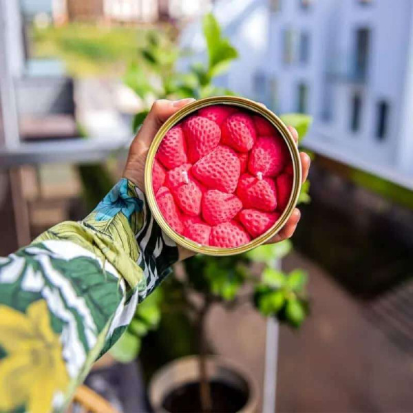 Candlehand Αρωματικό Φυτικό Κερί Γκουρμέ σε Κονσέρβα Ripe Strawberries 300gr