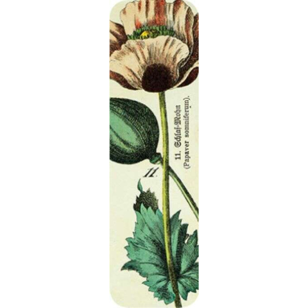 Brainfood Σελιδοδείκτης Vintage Flowers 3