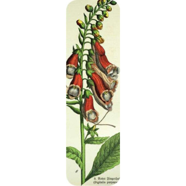 Brainfood Σελιδοδείκτης Vintage Flowers 2