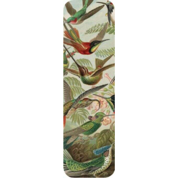 Brainfood Σελιδοδείκτης Birds 