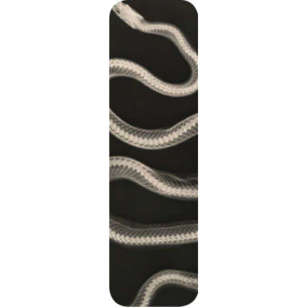 Brainfood Σελιδοδείκτης XRAY Φίδι 