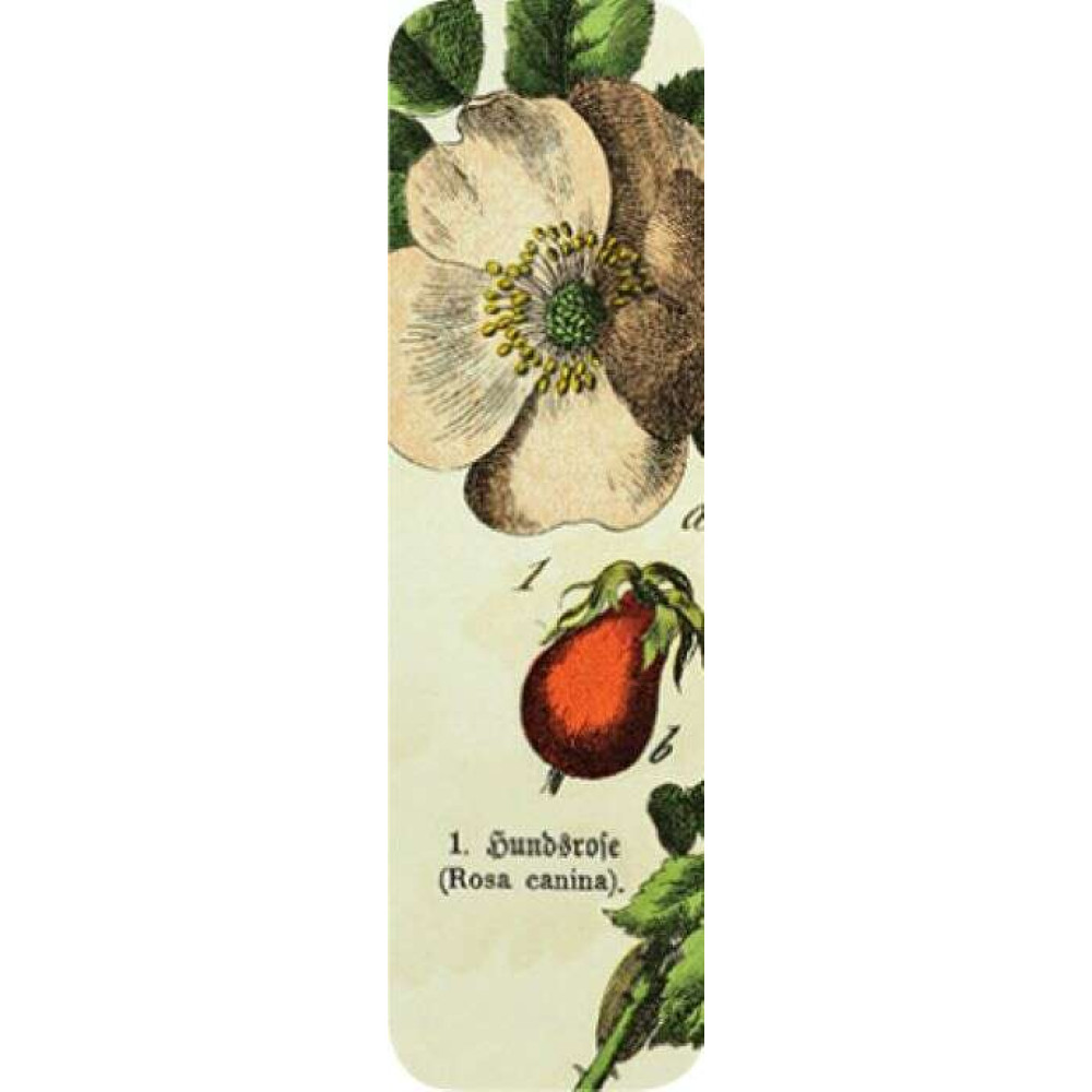 Brainfood Σελιδοδείκτης Vintage Flowers 4