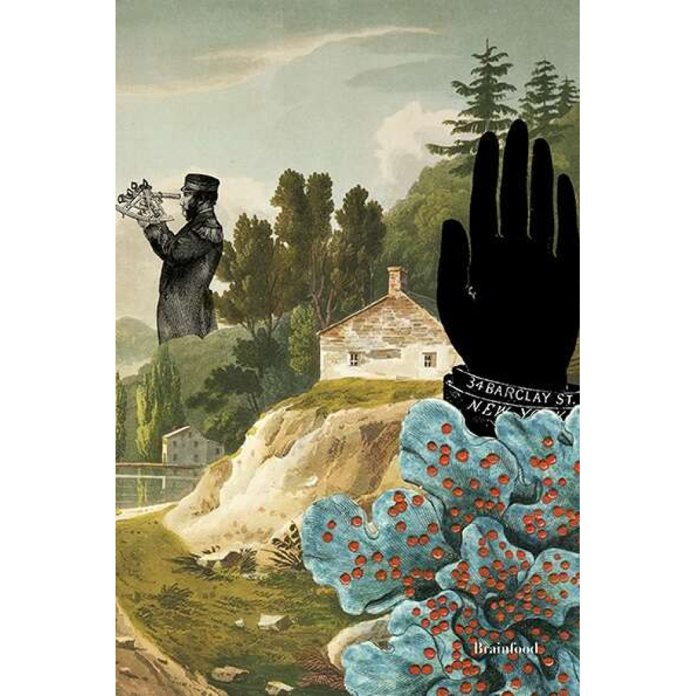 Brainfood Σημειωματάριο Birds 3 (21 x 14 cm)