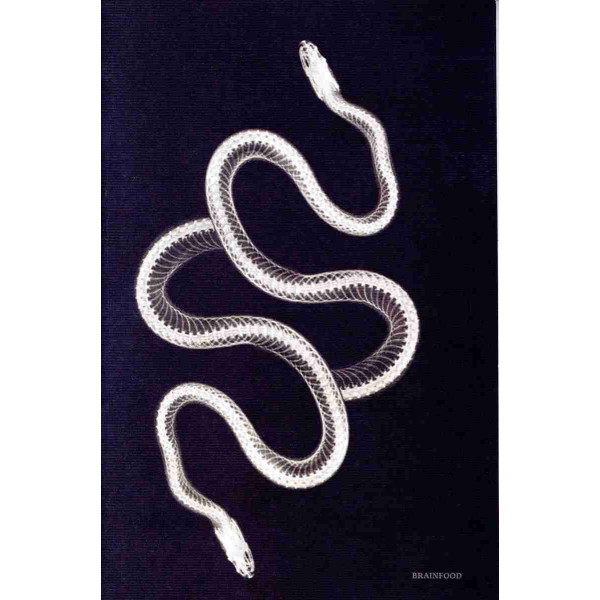 Brainfood Σημειωματάριο Xray Φίδι (21 x 14 cm)