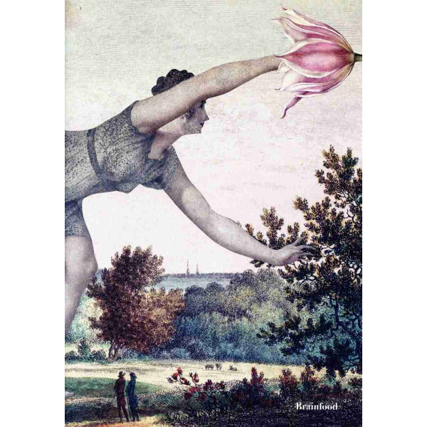 Brainfood Σημειωματάριο Woman 2  (24 x 17 cm)