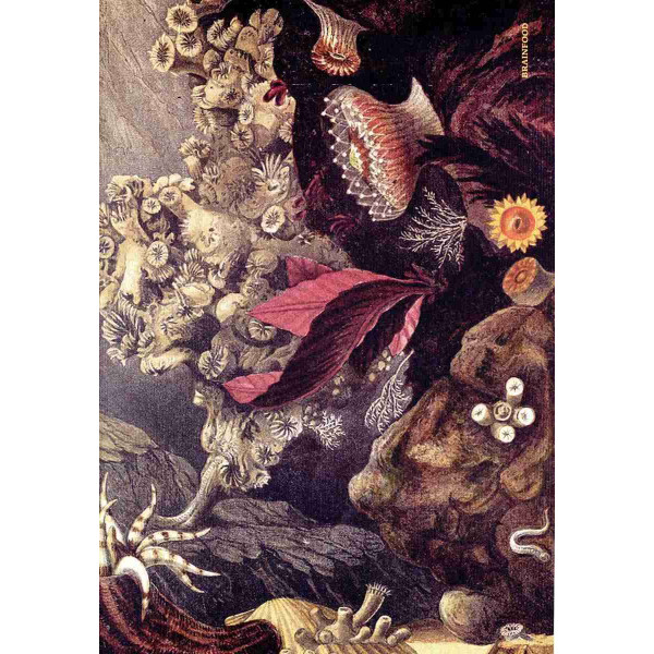 Brainfood Σημειωματάριο Lovecraft  (24 x 17 cm)