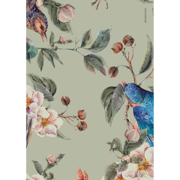 Brainfood Σημειωματάριο Σπουργίτι  (24 x 17 cm)