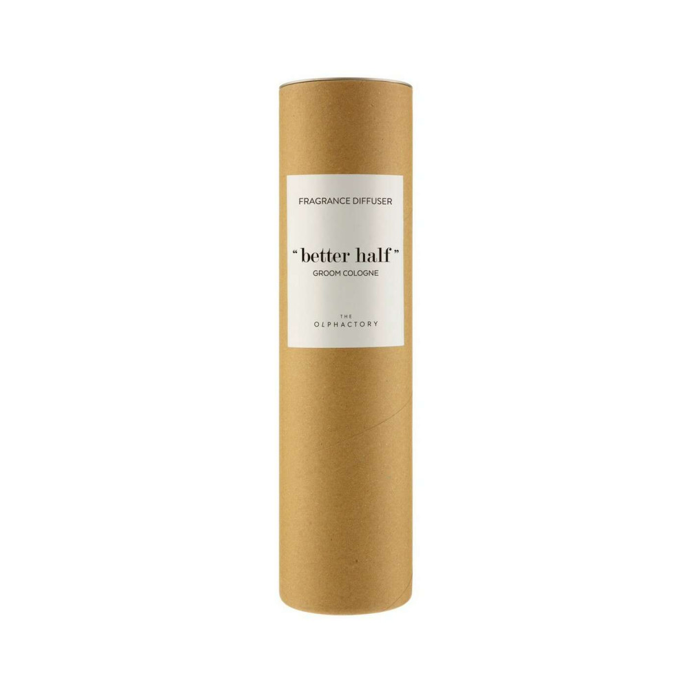Ambientair Αρωματικό Xώρου με Στικς 100ml Groom Cologne, Better half Diffuser