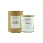Ambientair Orange & Cinnamon Φυτικό αρωματικό κερί με καπάκι 200gr, Bright - The Olphactory