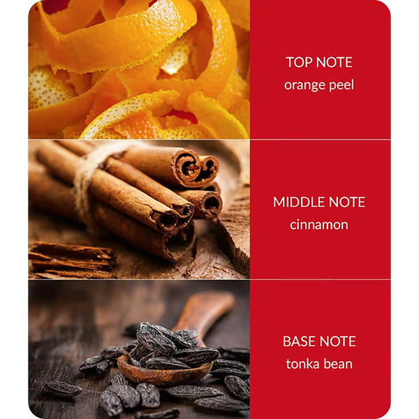 Heart & Home Αρωματικό Χώρου με Sticks Χριστουγεννιάτικη Μαγεία (70ml)